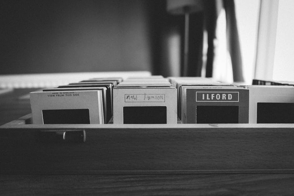A black and white photograph showing a wooden tray filled with neatly organized index cards or file cards, with some labeled with handwritten text and others printed, including one prominently displaying the word ‘ILFORD’. The tray is placed on a surface, possibly a desk or table, with a blurred background that suggests an indoor environment, perhaps an office or storage room. The cards appear to be used for filing or reference purposes, with visible textures of paper and subtle variations in shading. The overall scene is lit with soft, natural light coming from the right side, casting gentle shadows and highlighting the organization within the tray. This image visually relates to document management or record keeping, activities often associated with ensuring proper disposal or archiving of files and records, which aligns with the themes of rubbish removal and waste management services provided by Waste Removal Ilford and external waste handling methods.
