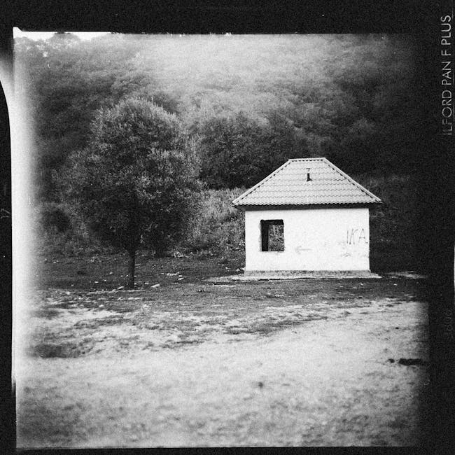 A black-and-white photograph depicting a small, single-storey structure with a gabled tiled roof, situated in an open area with unpaved ground that appears uneven and covered with dirt and scattered debris. The building has a square window on the front façade with a dark interior visible through it, and a marked arrow pointing to the left is painted on the wall. The background features a sloped landscape with dense, leafy trees and bushes, creating a natural, wooded backdrop. The scene has a slightly faded, vintage appearance, with soft lighting and shadows cast across the ground, highlighting the textured surface. To the left of the building, there is a solitary tree with a thin trunk and a rounded canopy, positioned slightly behind the structure. The overall scene suggests an area that may be used for outdoor storage or temporary waste accumulation, which could be relevant to private waste handling or alternative rubbish removal services, such as those offered by Waste Removal Ilford, especially in contexts where on-site clearance or individual collection differs from local authority services.